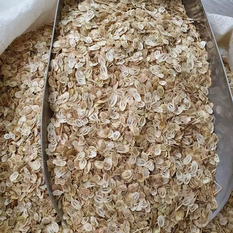 گلپر درشت اعلاء 100 گرم