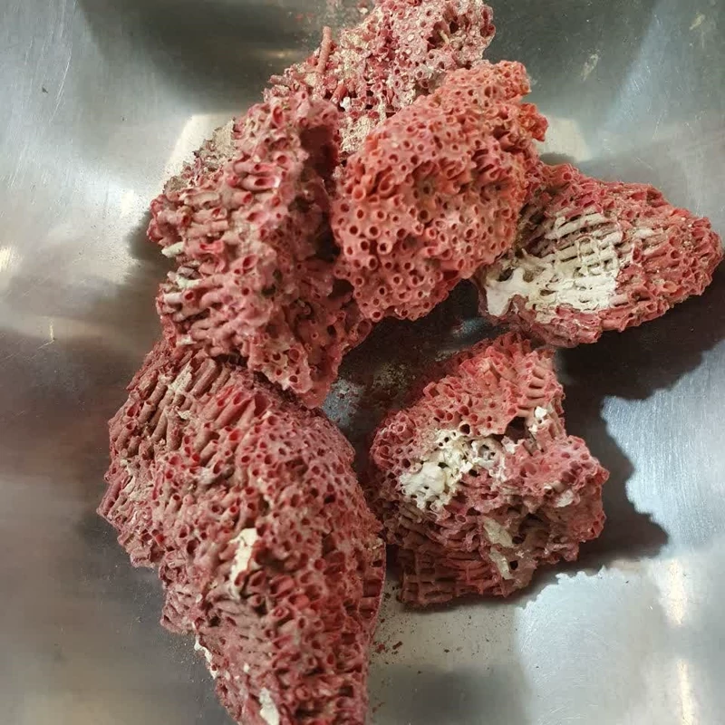 مرجان قرمز 50 گرم