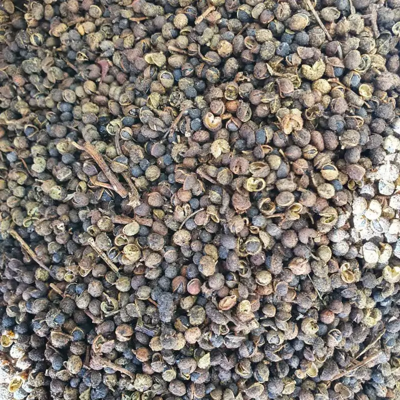 گیاه دهان باز 50 گرم