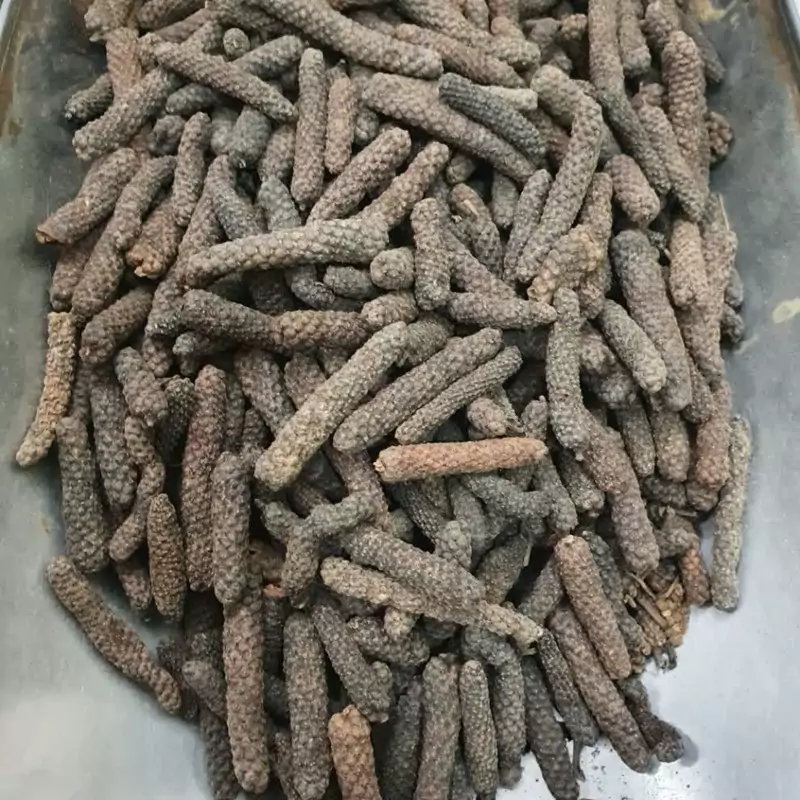 گیاه دار فلفل 50 گرم