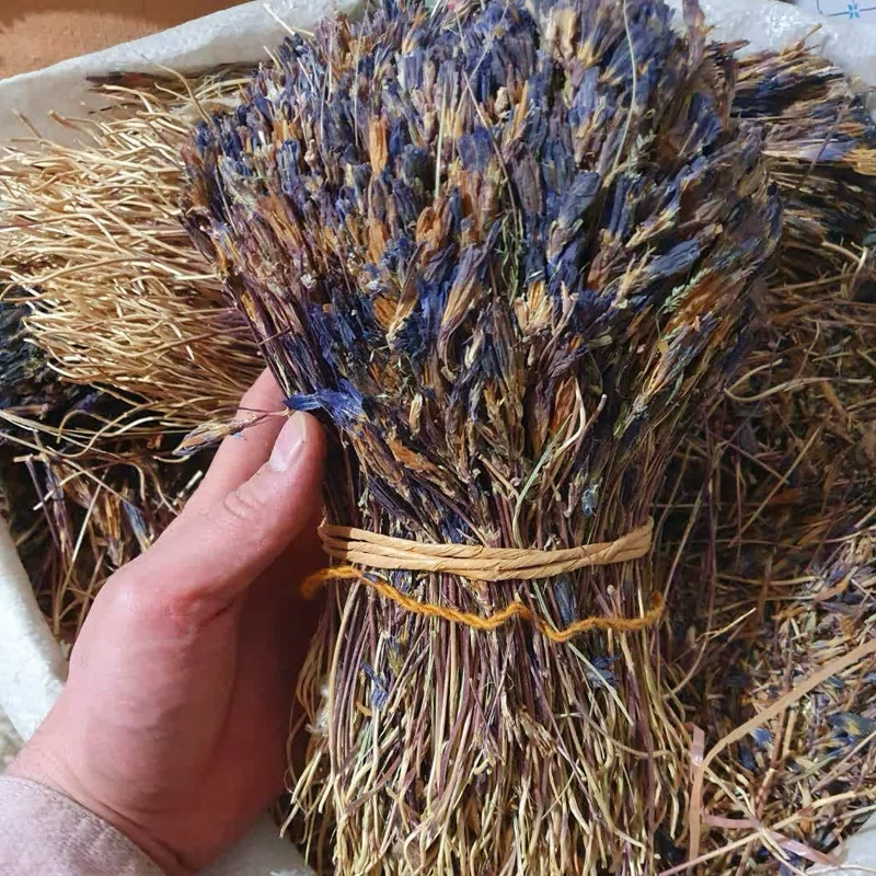 گیاه غافث 50 گرم