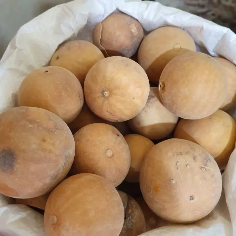 هندوانه ابوجهل 100 گرم حنظل