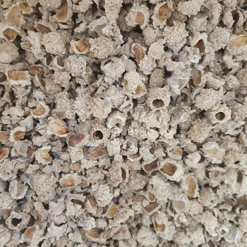 شکر تیغال 50 گرم