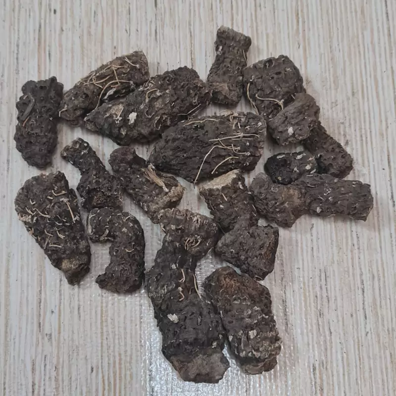 کندوش (کندش) 600 گرمی (پسکرایه) کارتن