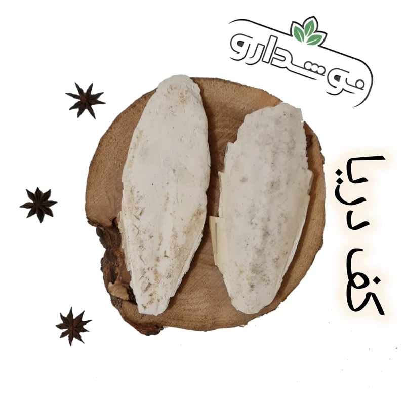 کف دریا 3 کیلویی (پس کرایه)