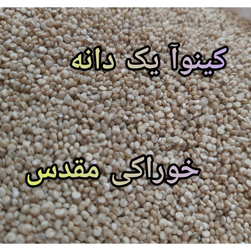 کینوا (کینوآ) 8 کیلویی (پس کرایه)