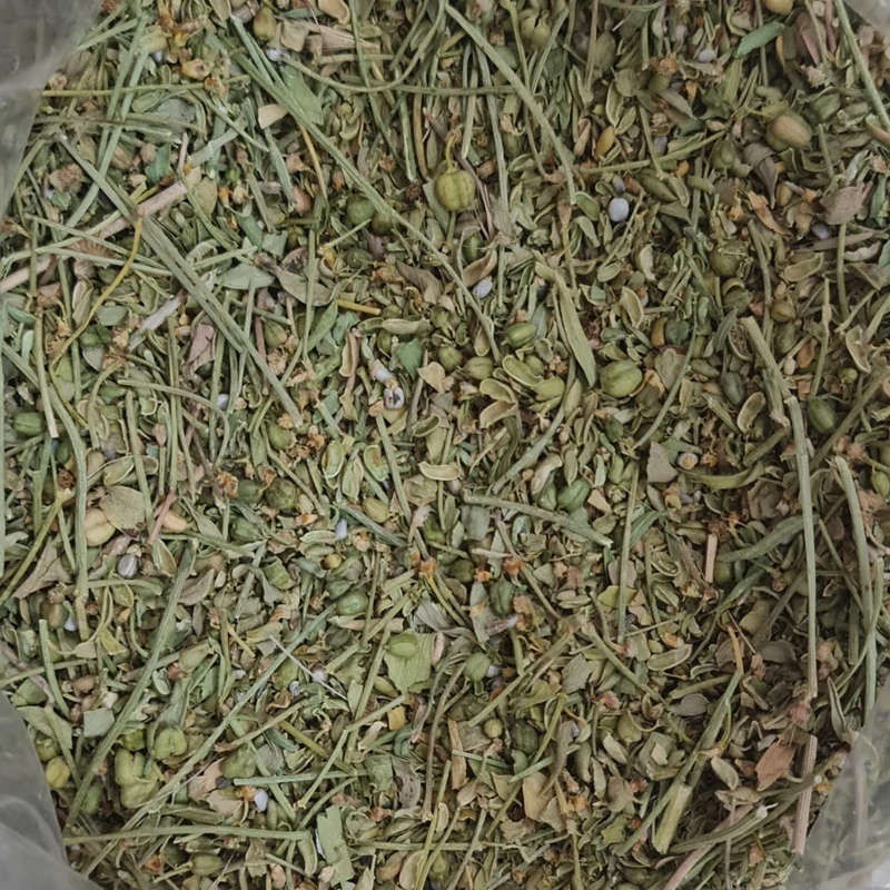 سداب (سوداب) 10 کیلویی