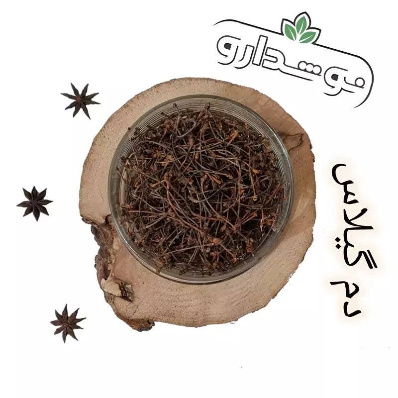 دم گیلاس 10 کیلویی