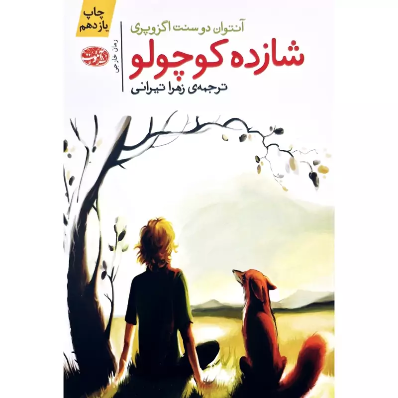 کتاب شازده کوچولو، کاغذ بالکی ( آنتوان دوسنت اگزوپری ترجمه زهرا تیرانی ) انتشارات آموت