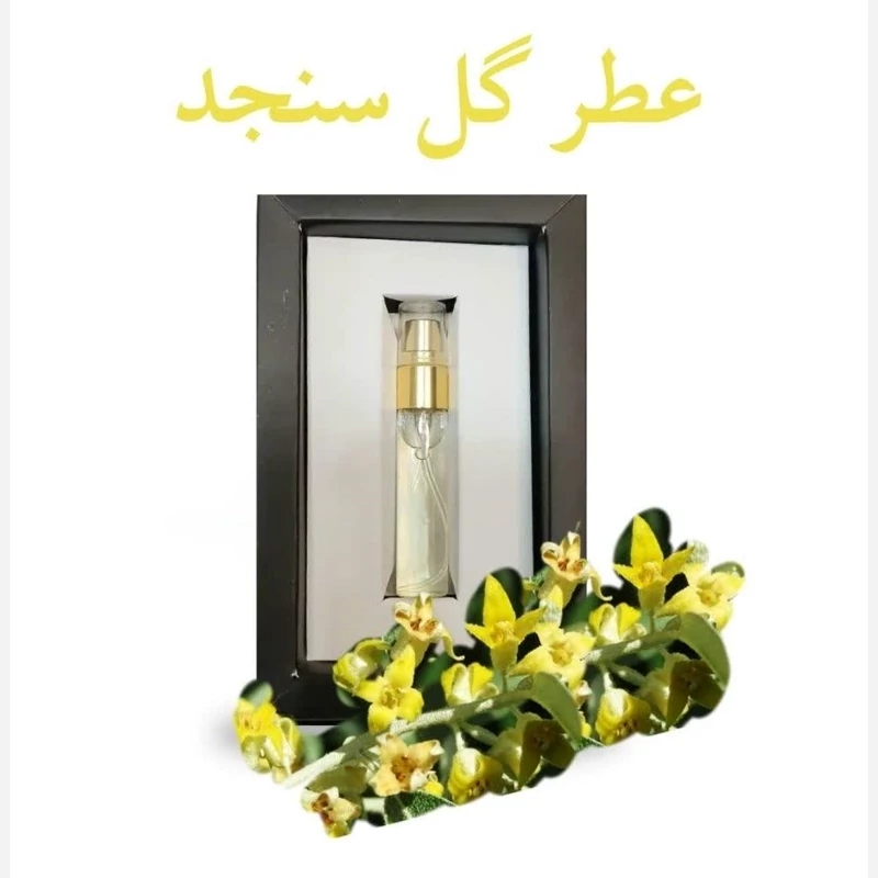 عطر گل سنجد (5 گرمی) مجموعه حکیم خیراندیش