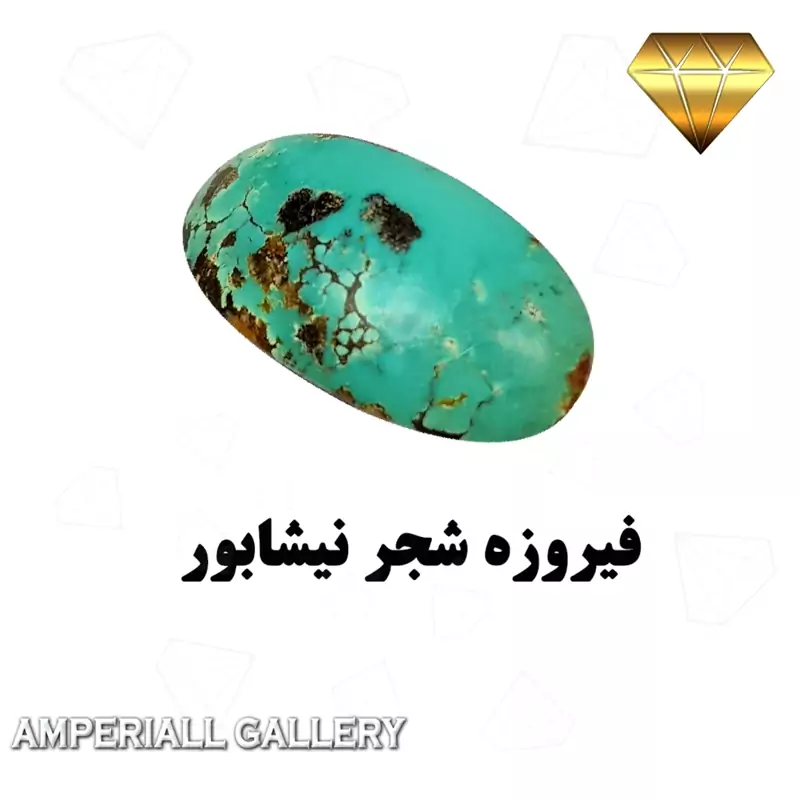 فیروزه شجر نیشابور  رنگ خاص تراش دامله گنبدی  رگه های طلایی وسیاه 724