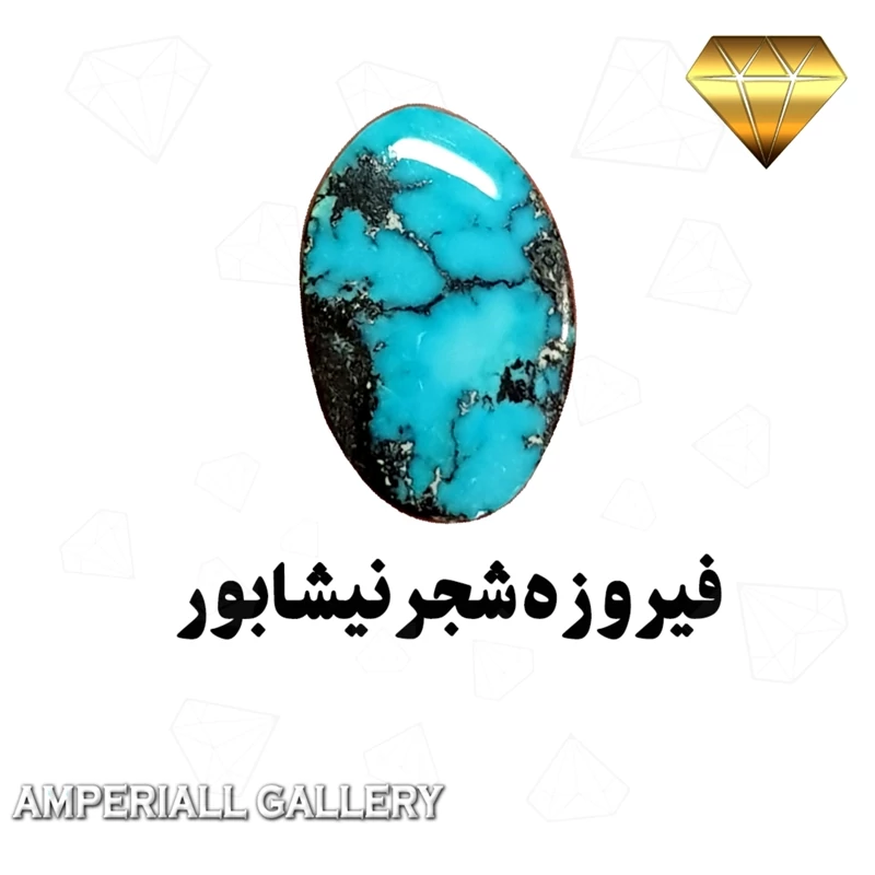 فیروزه آبی بسیار طبع بالا شجر نیشابور با رگه های تیره پشت سنگ سیاه  871