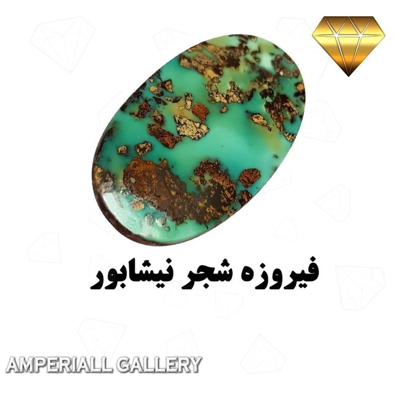 فیروزه درشت و قواره دار شجر نیشابور  با رگه های طلایی و رنگ سبزآبی خاص 719