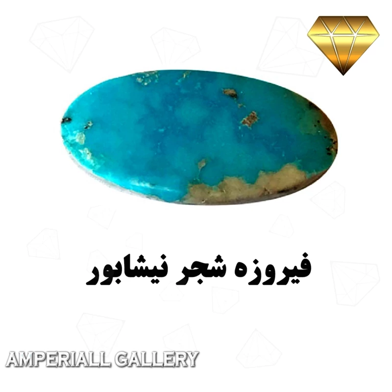 فیروزه شجر نیشابور رنگ آبی محک با کوالیتی بالا کد 856