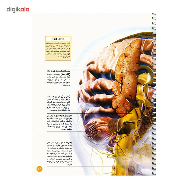 کتاب اطلس بدن انسان اثر جان استرادلینگ