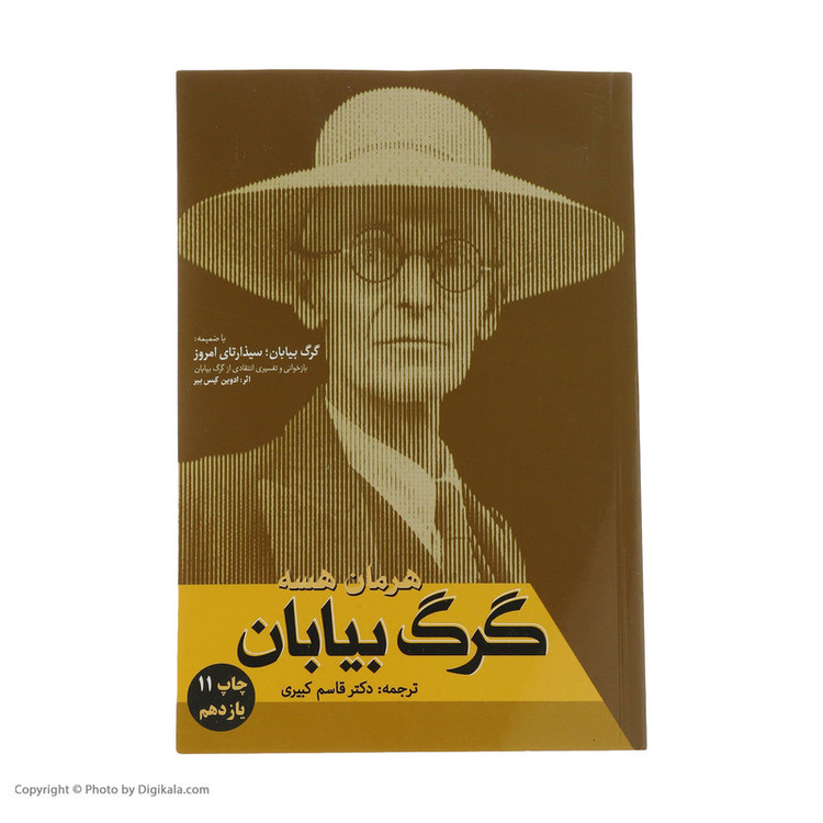 کتاب گرگ بیابان اثر هرمان هسه نشر فردوس