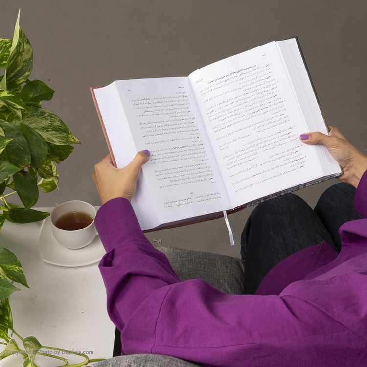 کتاب شاخ نبات حافظ اثر محمدرضا برزگر خالقی انتشارات زوار