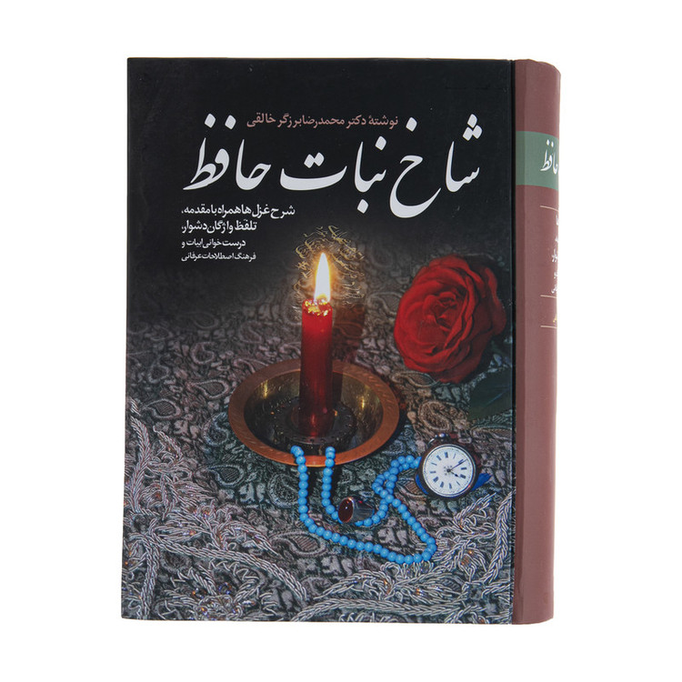 کتاب شاخ نبات حافظ اثر محمدرضا برزگر خالقی انتشارات زوار