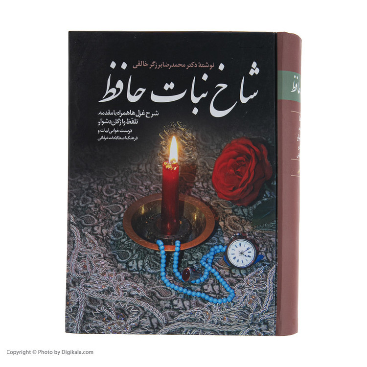 کتاب شاخ نبات حافظ اثر محمدرضا برزگر خالقی انتشارات زوار