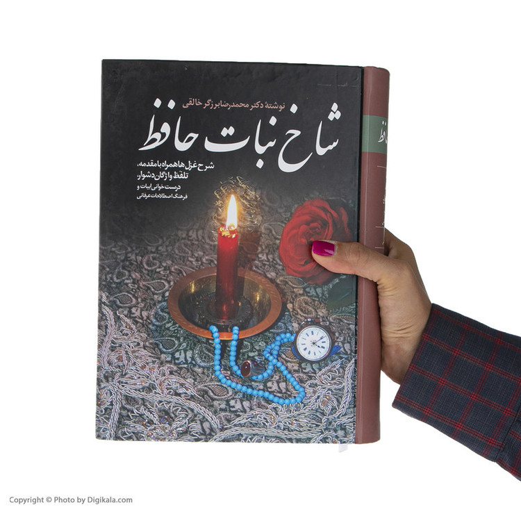 کتاب شاخ نبات حافظ اثر محمدرضا برزگر خالقی انتشارات زوار