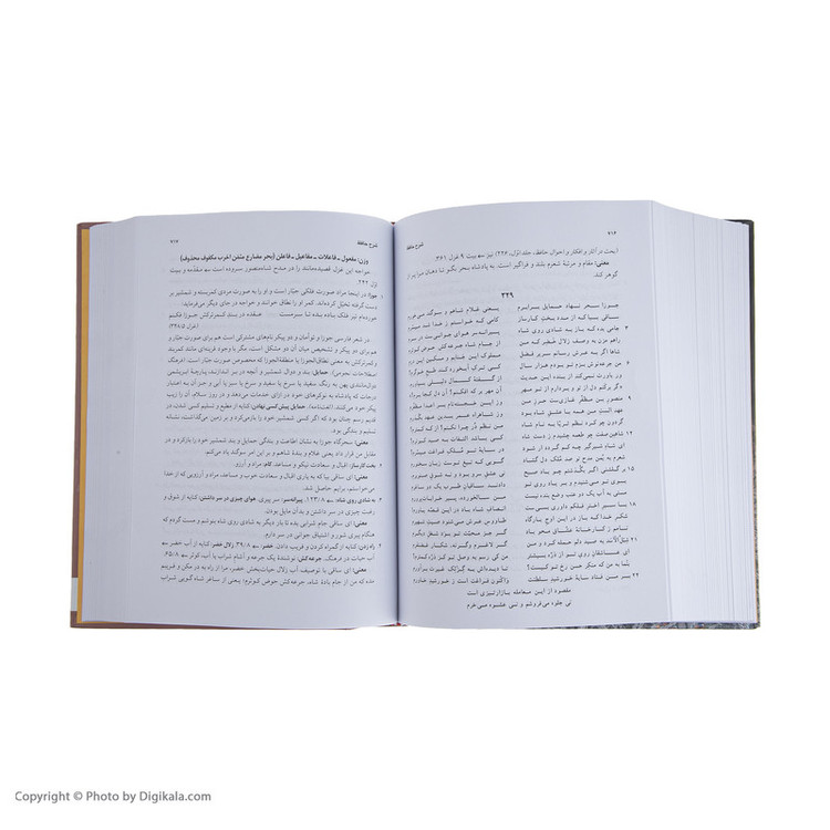 کتاب شاخ نبات حافظ اثر محمدرضا برزگر خالقی انتشارات زوار