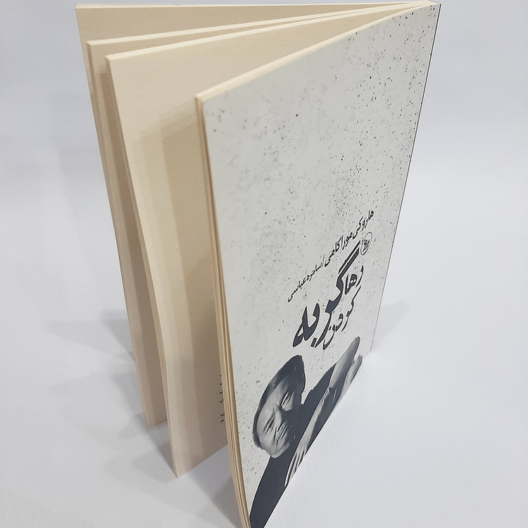کتاب رها کردن گربه اثر هاروکی موراکامی نشر چلچله