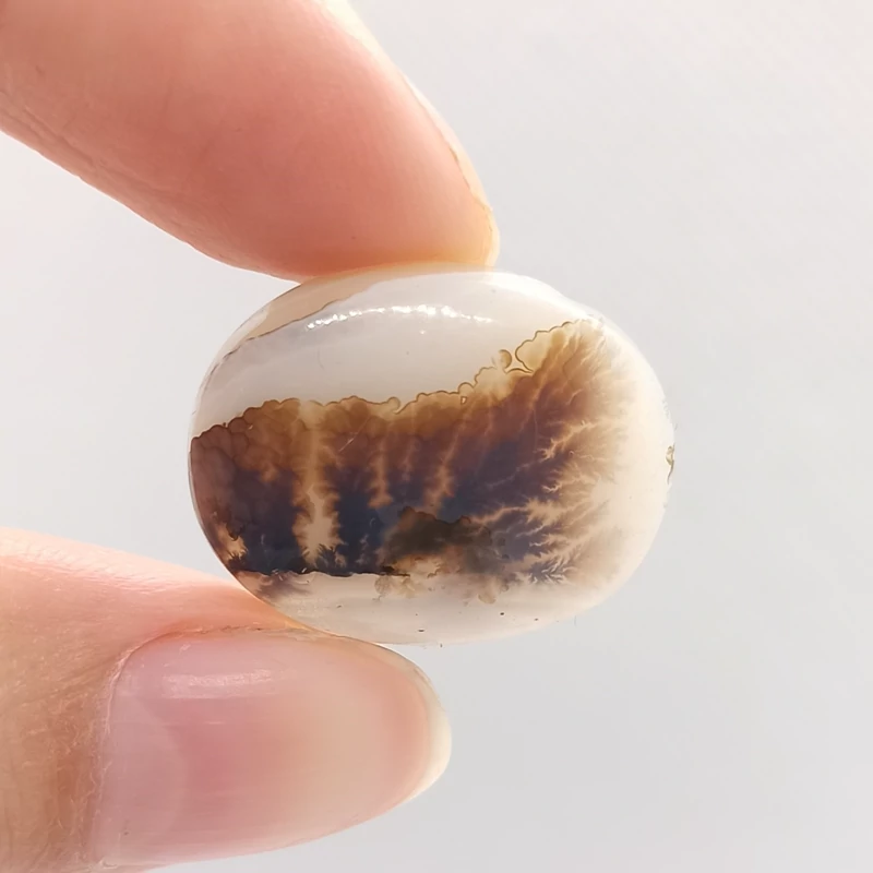 سنگ شجر قائن اصل 031