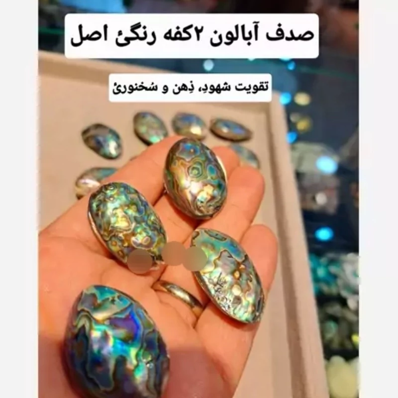اویز صدف ابالون اصل 2کفه براق وارداتئ مهره ابالون مهره صدف ابالون پلاک صدف رنگین کمانی صدف رنگین کمانی خواص ابالون بزرگ