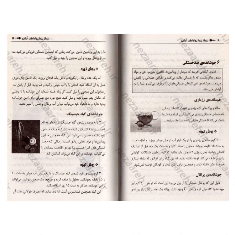 کتاب درمان بیماری ها با طب سنتی (درمان های طبی با گیاهان) اثر مسعود بلاغت نیا