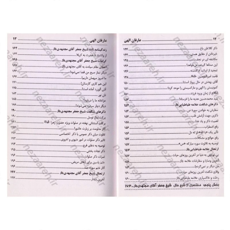 کتاب عارفان الهی (مختصری از زندگی نامه و کرامات اولیای ربانی)