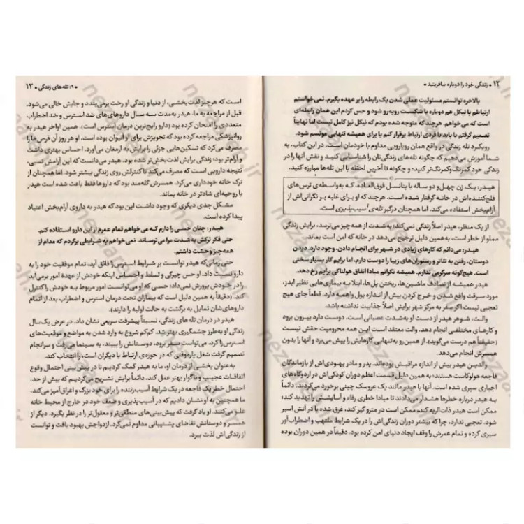 کتاب زندگی خود را دوباره بیافرینید اثر جفری یانگ و جانت کلوسکو