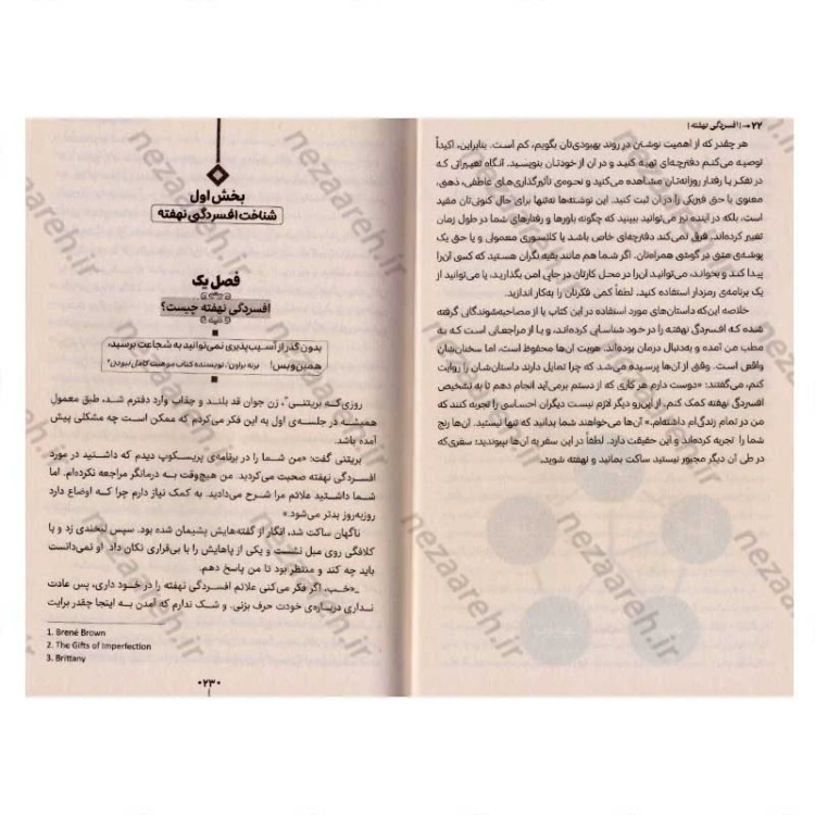 کتاب افسردگی نهفته (چگونه از افسردگی که زیر نقاب کمال گرایی پنهان شده رها شویم) اثر مارگارت رابینسون رادرفورد