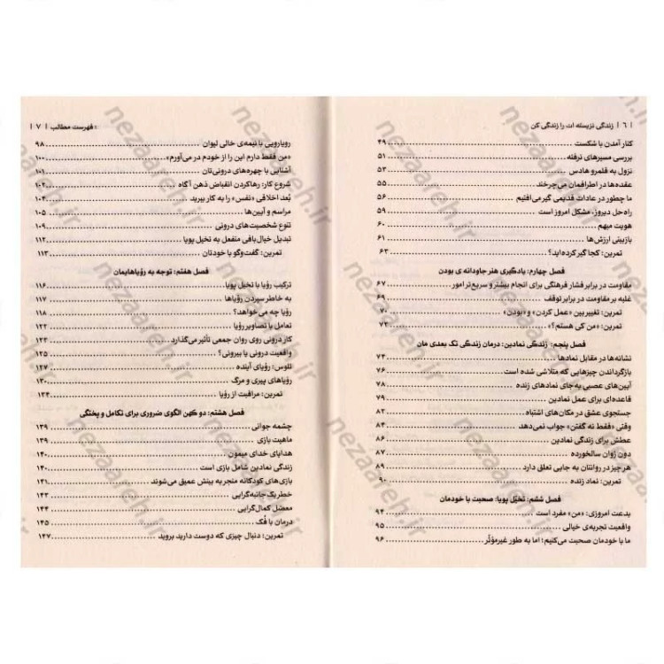کتاب زندگی نزیسته ات را زندگی کن (آزاد شدن از زندان تکرار و روزمرگی در نیمه دوم زندگی) اثر رابرت الکس جانسون