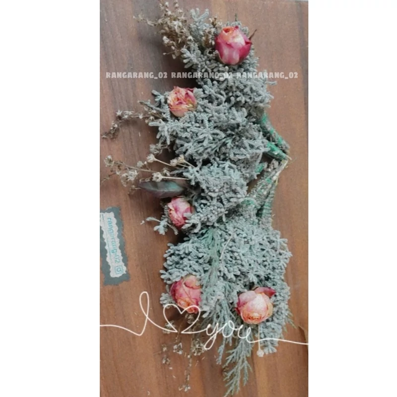 عود گیاهی جدید