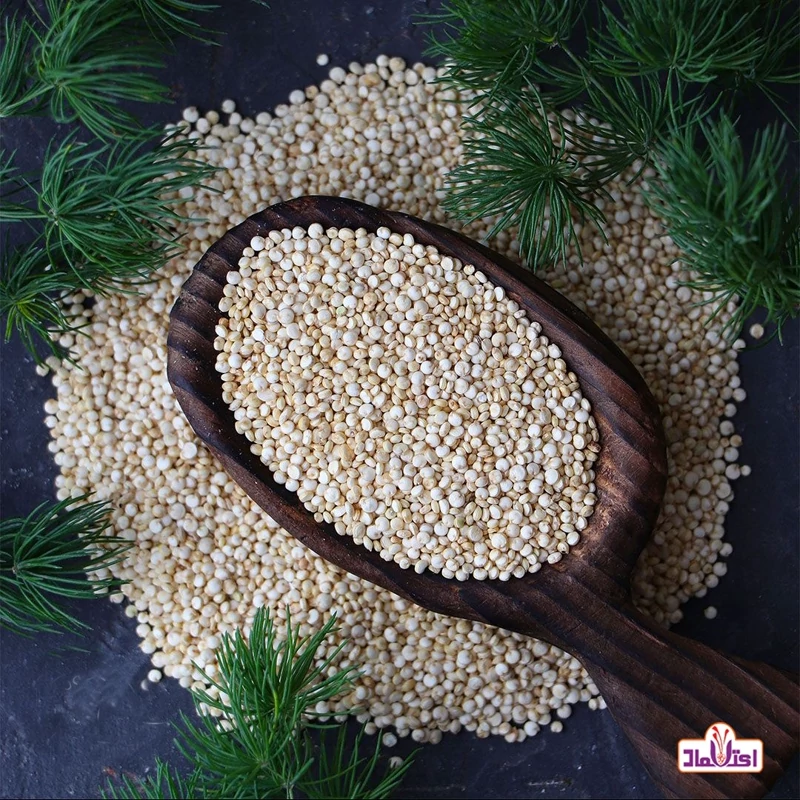 کینوا سفید خارجی 500 گرمی (خاویار گیاهی) پاک شده و اعلا