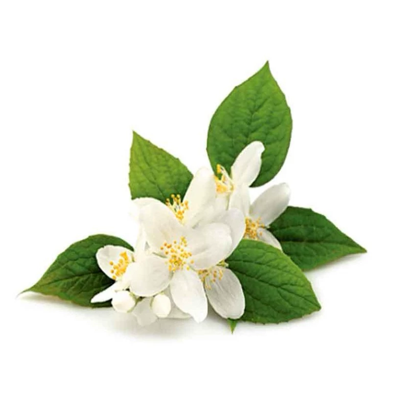 عطر بهار نارنج (اقتصادی) Neroli