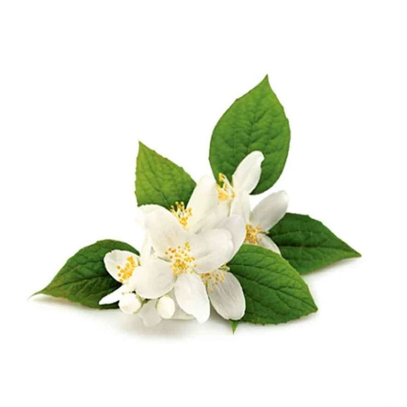 عطر بهار نارنج (بالاترین کیفیت) Neroli