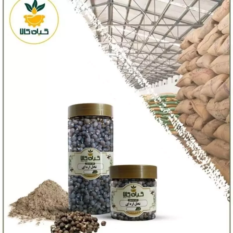 میوه نخل اره ای پودر شده با کیفیت ممتاز 750گرمی