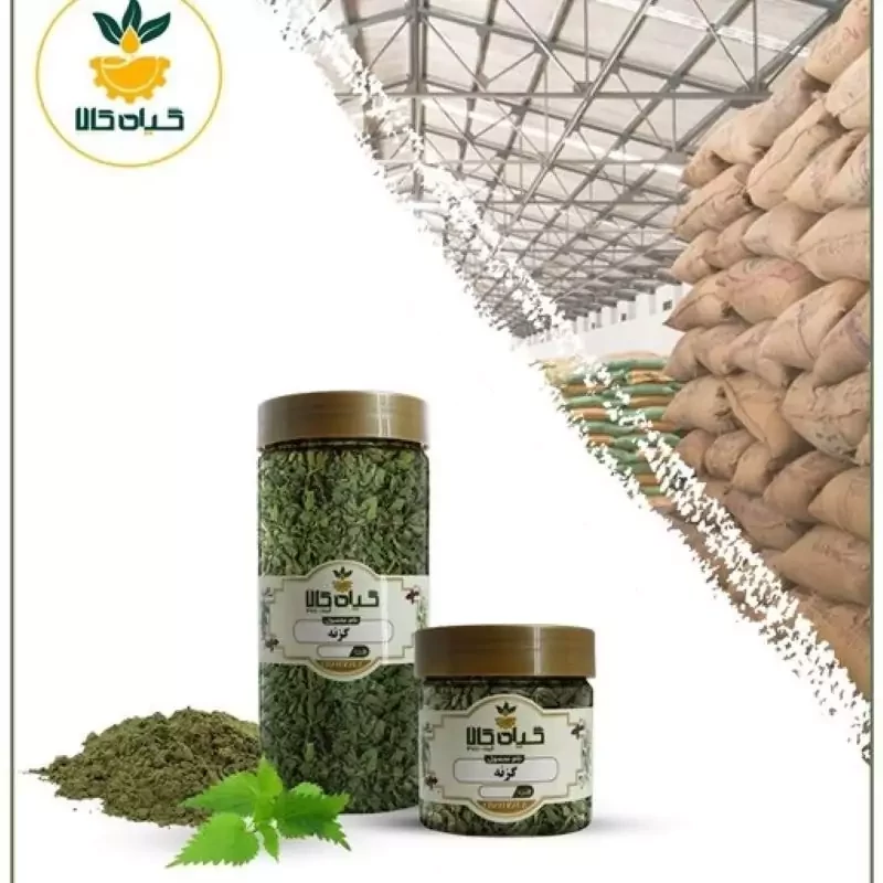 گیاه گزنه با کیفیت عالی، بار امسالی و تازه(750گرمی)