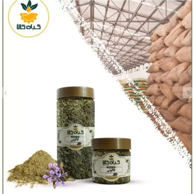 گیاه کاکوتی با کیفیت عالی، بار امسالی و تازه(2کیلوگرم)