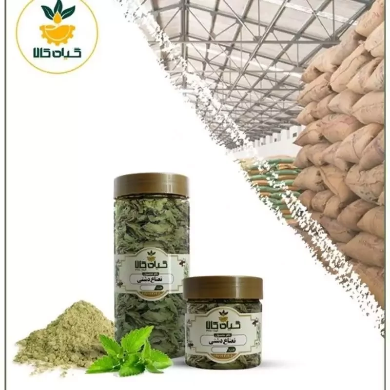 گیاه نعناع دشتی پودر شده با کیفیت ممتاز 500گرمی