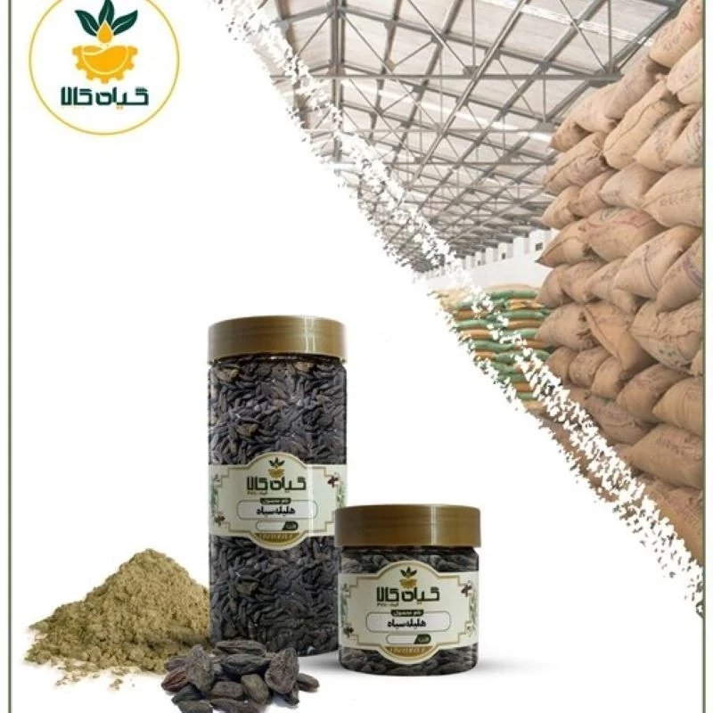 میوه هلیله سیاه  پودر شده با کیفیت ممتاز 500گرمی