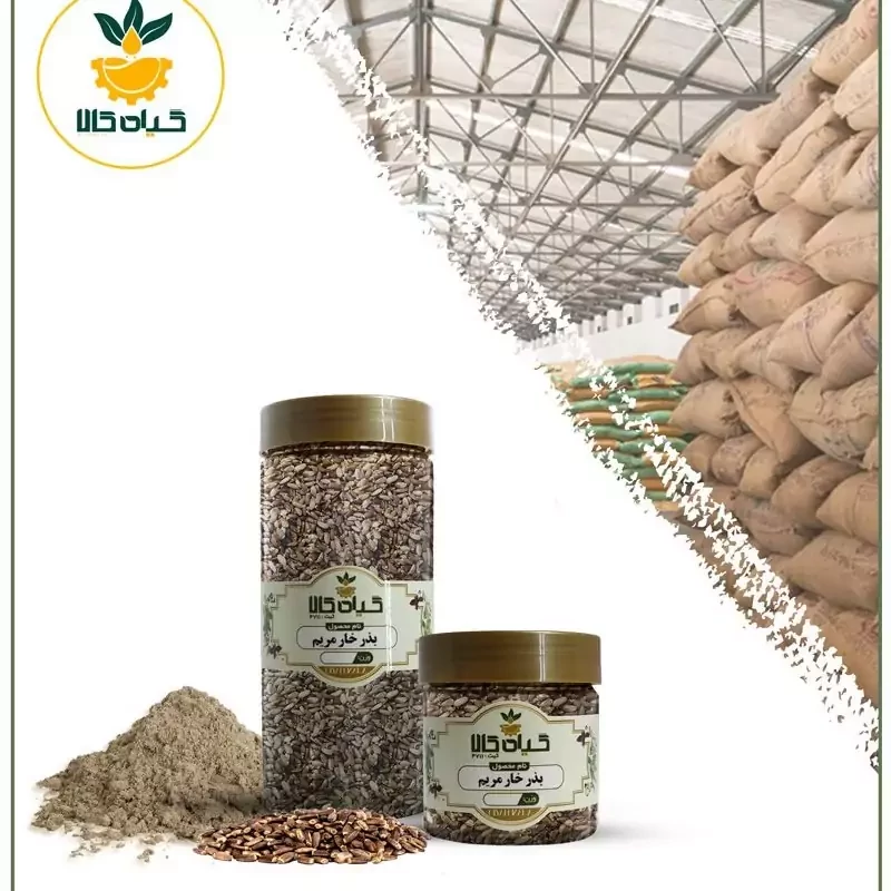 بذر خارمریم، بار امسالی و تازه(250 گرمی)