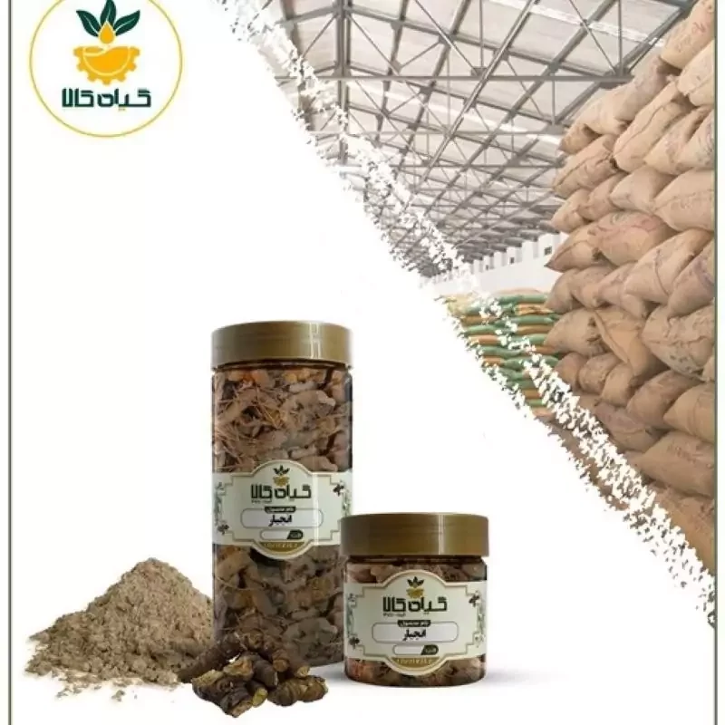 گیاه انجبار پودر شده با کیفیت ممتاز 150گرمی