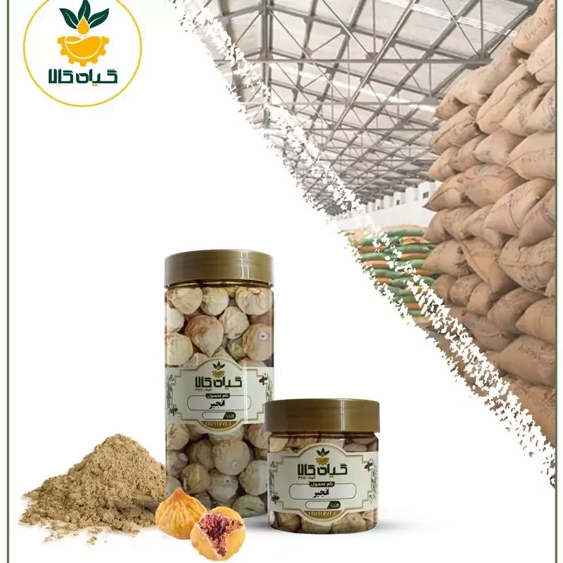 میوه انجیر بار امسالی و تازه (150 گرمی )