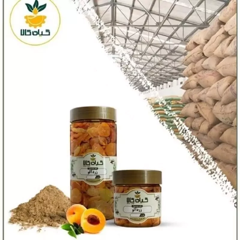 میوه زردآلو با کیفیت عالی، بار امسالی و تازه(200گرمی)