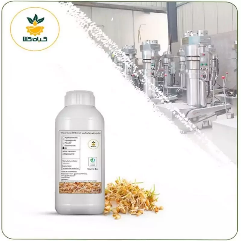 روغن  جوانه گندم خوراکی 1 لیتری