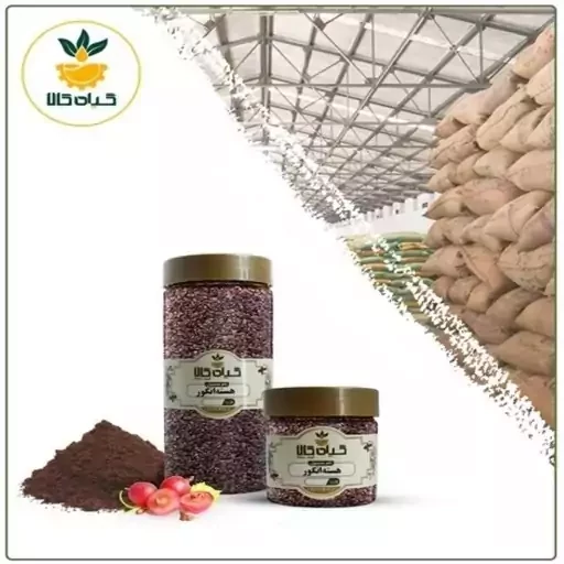 هسته انگور،  با کیفیت ممتاز 100گرمی