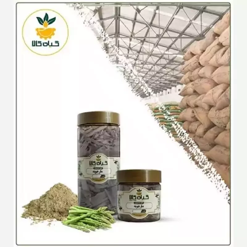 گیاه مارچوبه پودر شده   با کیفیت عالی، بار امسالی و تازه(250گرمی  )