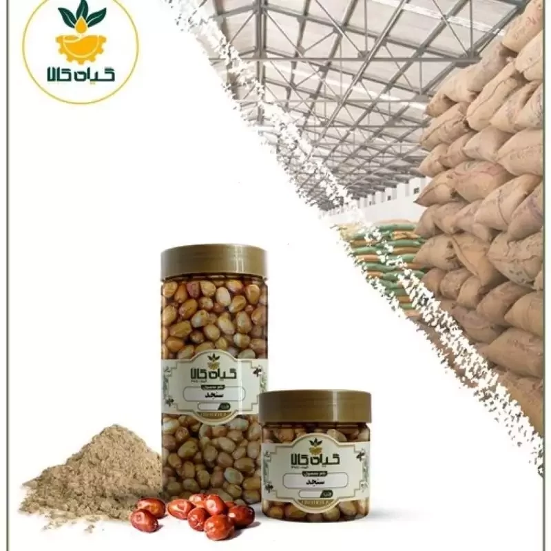 میوه سنجد شیرین با کیفیت عالی  بار امسالی و تازه(5کیلوگرم)